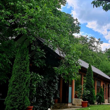 Casa Alex Hotel Sărata-Monteoru Екстериор снимка