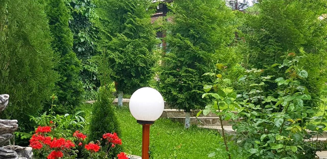 Casa Alex Hotel Sărata-Monteoru Екстериор снимка