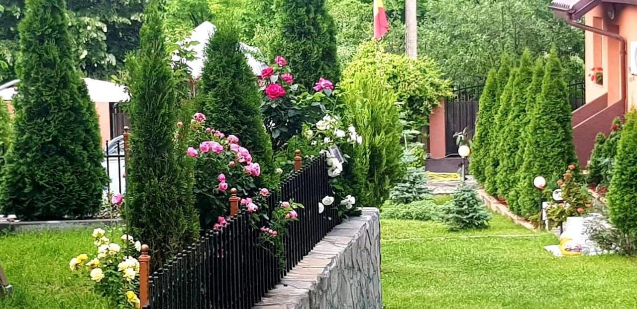 Casa Alex Hotel Sărata-Monteoru Екстериор снимка