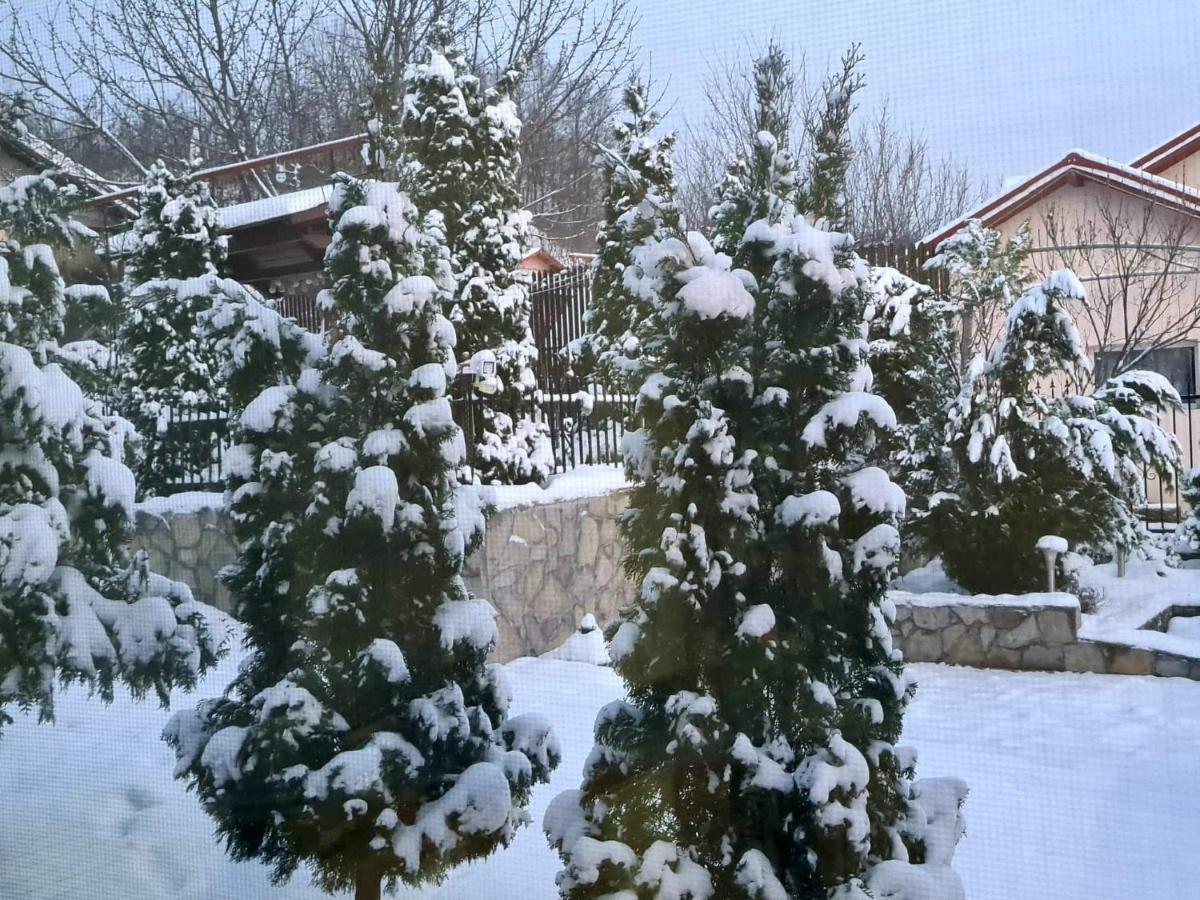Casa Alex Hotel Sărata-Monteoru Екстериор снимка