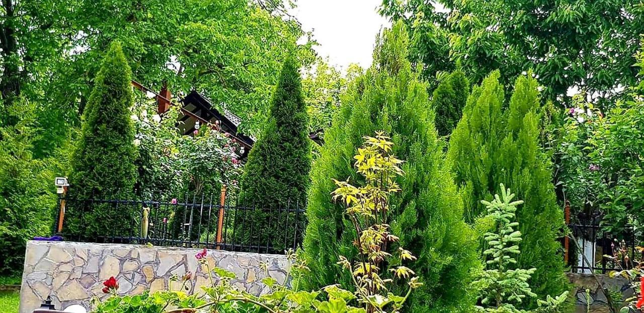 Casa Alex Hotel Sărata-Monteoru Екстериор снимка