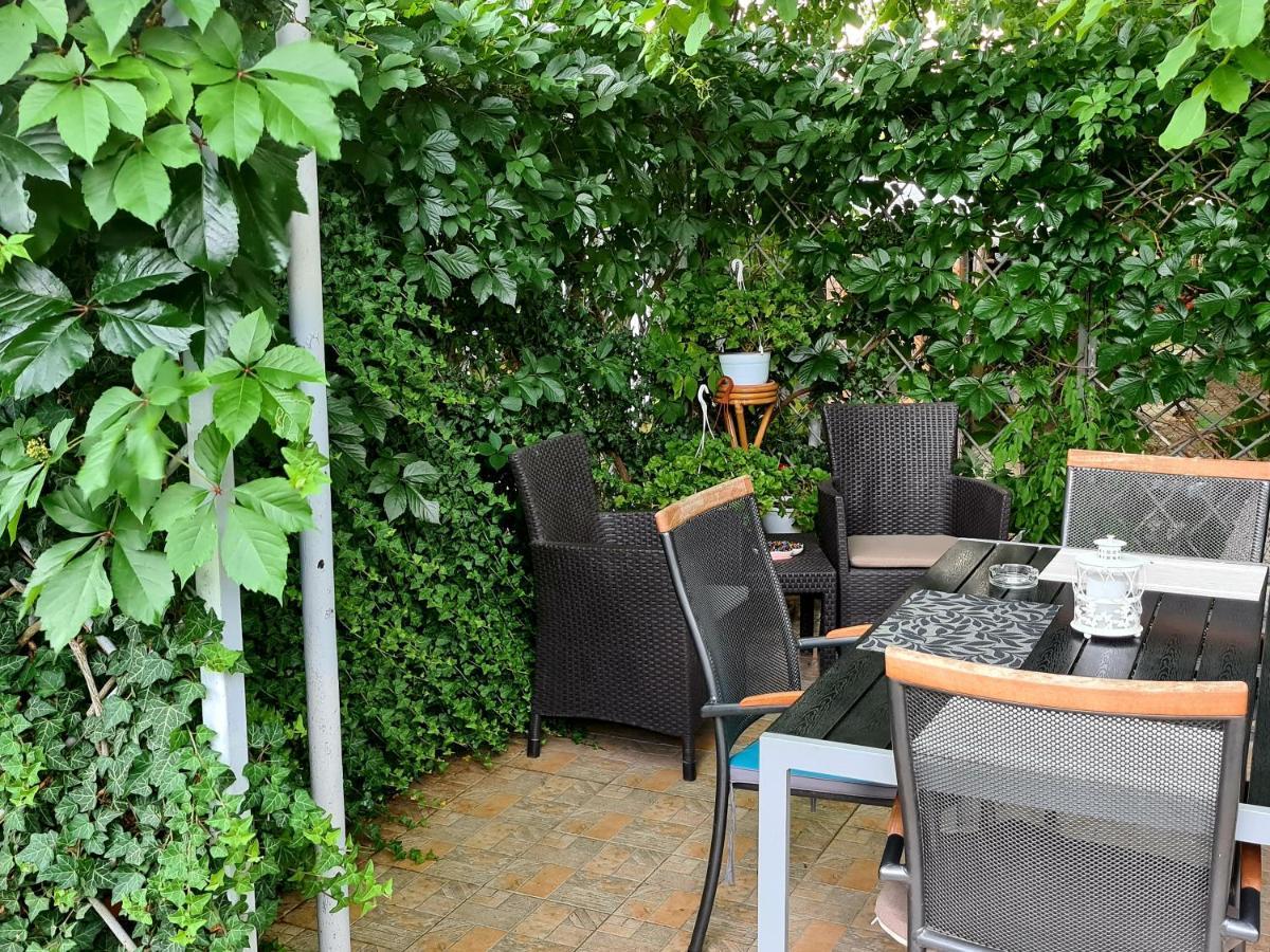 Casa Alex Hotel Sărata-Monteoru Екстериор снимка