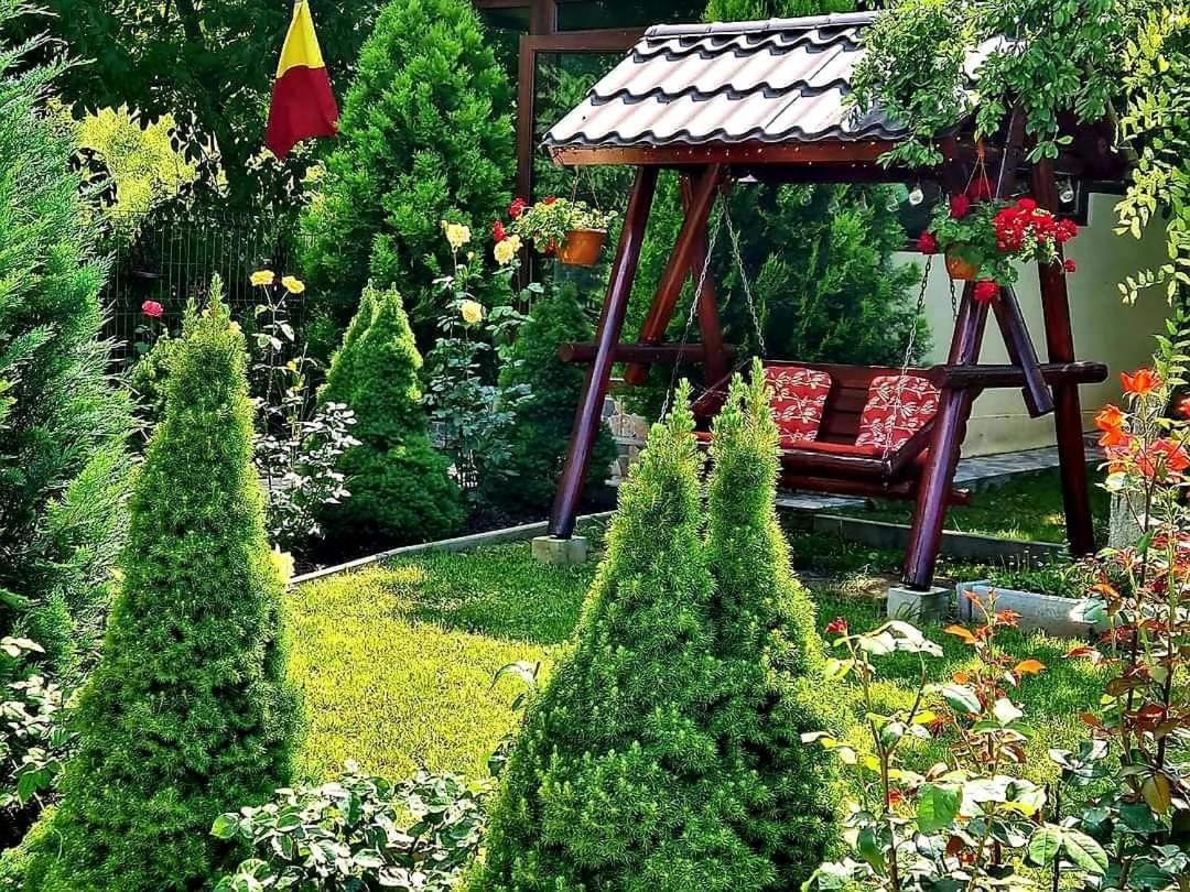 Casa Alex Hotel Sărata-Monteoru Екстериор снимка