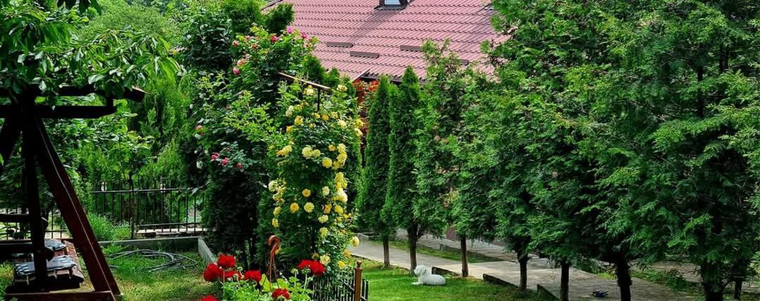 Casa Alex Hotel Sărata-Monteoru Екстериор снимка