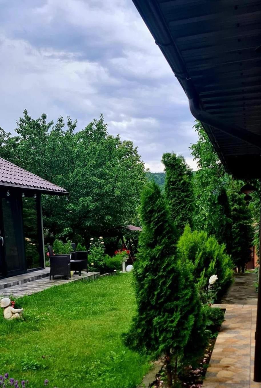 Casa Alex Hotel Sărata-Monteoru Екстериор снимка