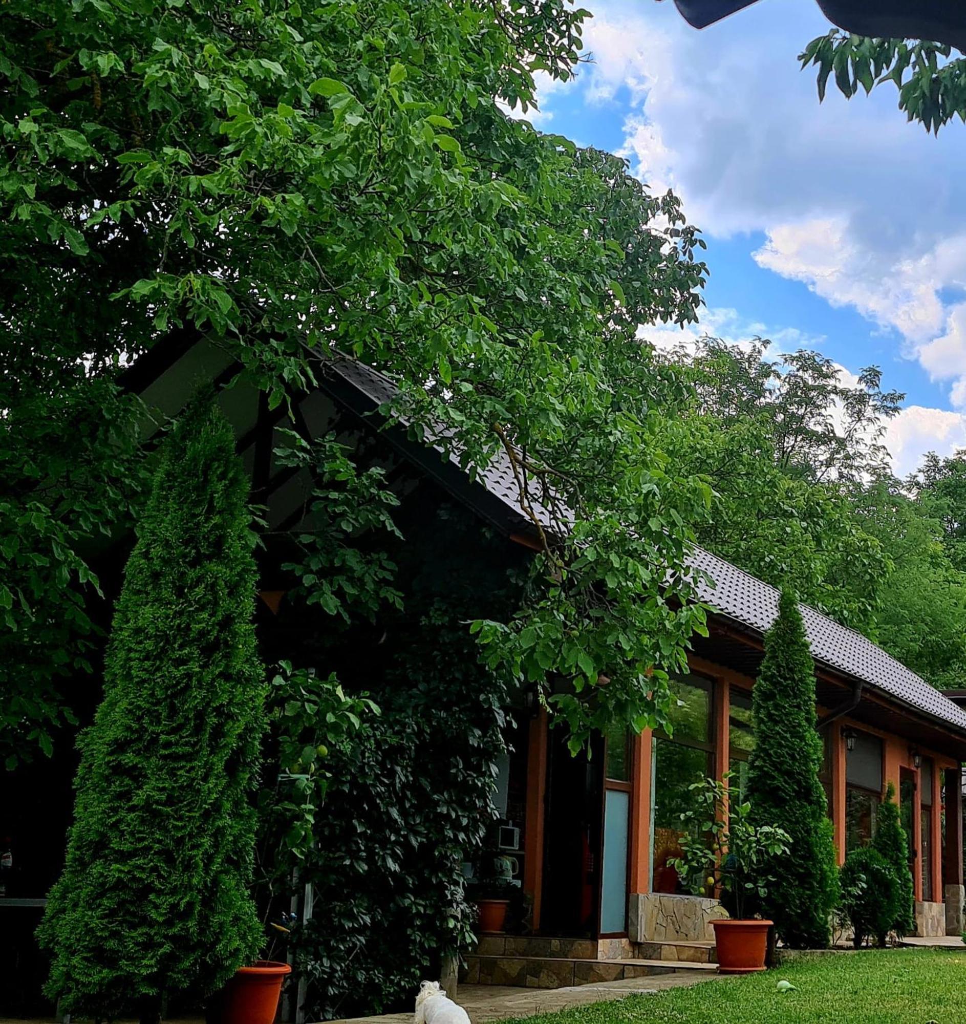 Casa Alex Hotel Sărata-Monteoru Екстериор снимка
